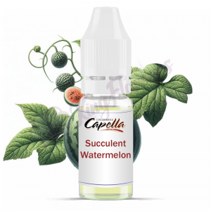 Capella Succulent Watermelon