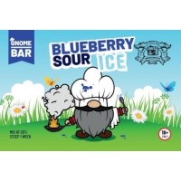 Gnome Bar Blueberry Sour Ice