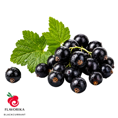 Flavorika Blackcurrant Food Flavouring