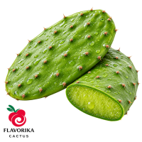 Flavorika Cactus Food Flavouring Flavorika Cactus Food Flavouring