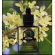 Vape Train Osmanthus