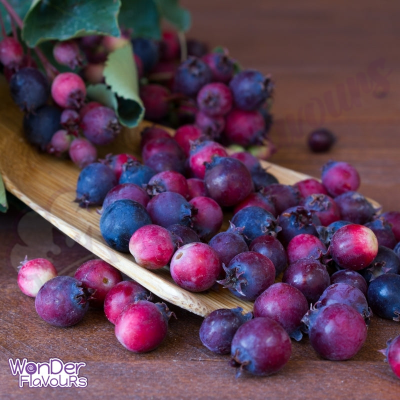 Wonder Flavours Saskatoon Berries SC